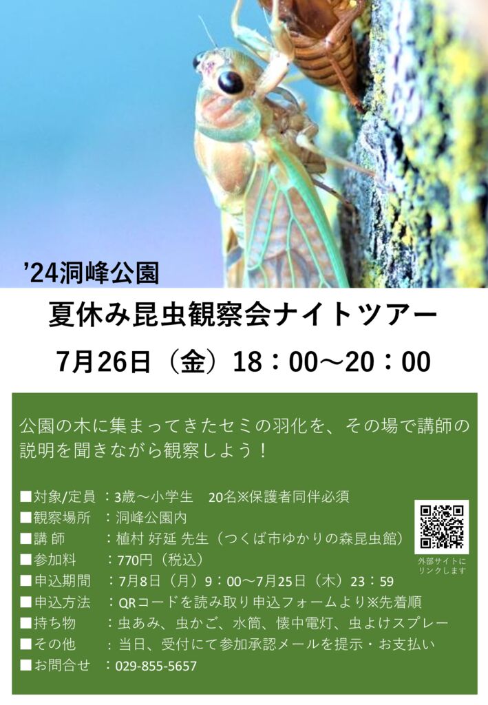 24洞峰公園 夏休み昆虫観察会ナイトツアー開催 | 洞峰公園 公園NEWS