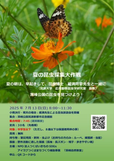 250713_夏の昆虫採集大作戦_ポスターのサムネイル