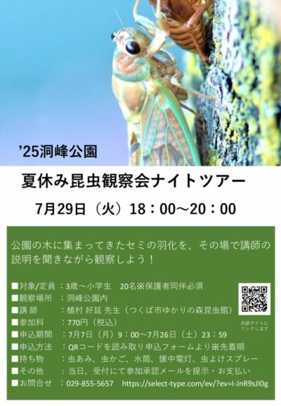 2025昆虫観察会のサムネイル