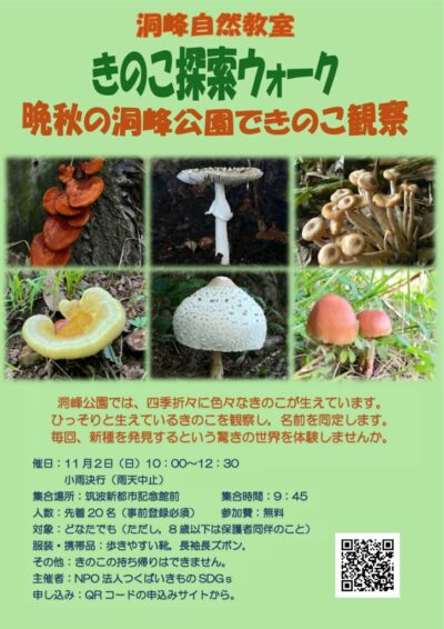 251102_みんなできのこ探検ウォーク_ポスターのサムネイル