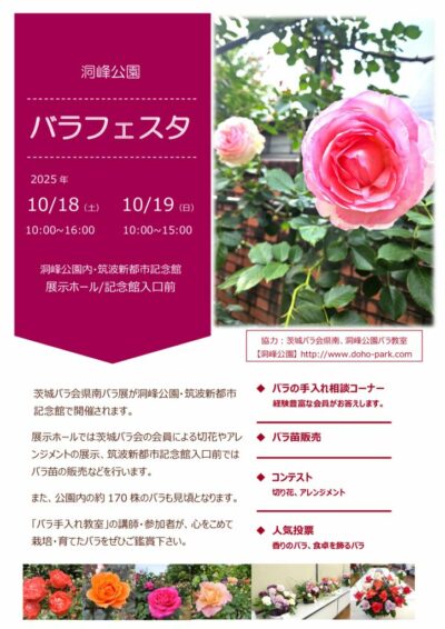 2025バラフェスタ秋のサムネイル