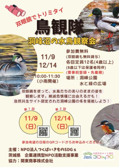 鳥観隊2511～2512のサムネイル