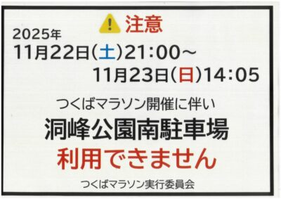 20251112143836のサムネイル