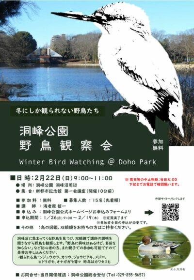 2026野鳥観察会_チラシ260222のサムネイル