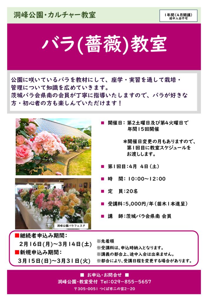 カルチャー教室「バラ（薔薇）教室」受講生募集！ | 洞峰公園 スクールNEWS